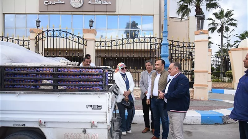 وصول الدفعة الأولى لبيع بيض المائدة بمطروح بسعر 150 جنيها