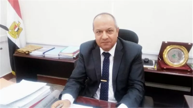 طرق سداد فاتورة الكهرباء فى مدينتى الشروق وبدر.. بالخطوات والصور