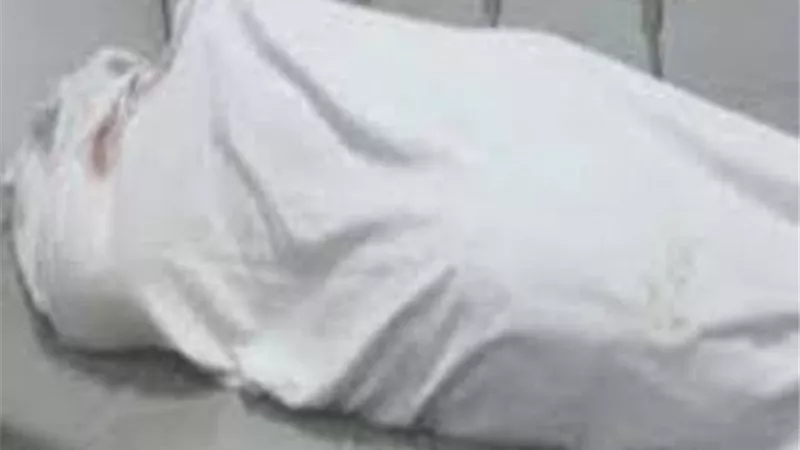 قتل عمته لسرقة أموالها في روض الفرج