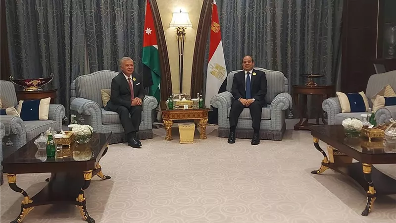 مصر والأردن يؤكدان مجددًا رفض التهجير القسري وتصفية القضية الفلسطينية