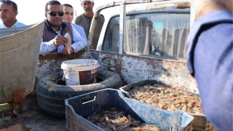 بعد انقطاع.. 