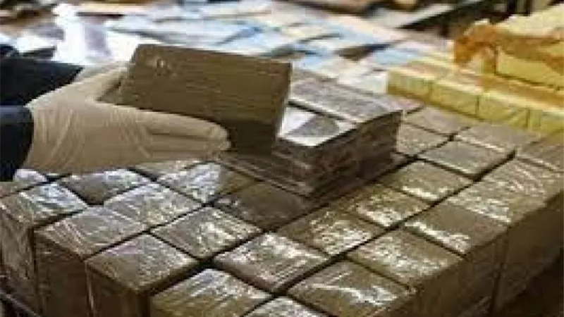 إحباط ترويج حشيش بـ1.6 مليون جنية فى الإسكندرية