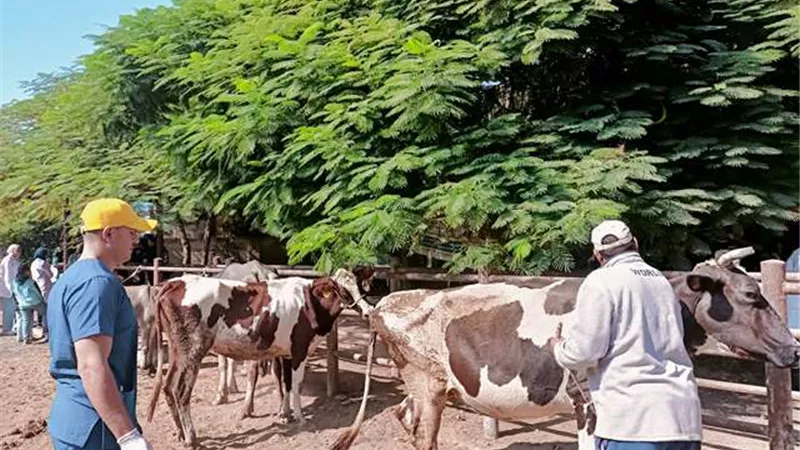 قافلة بيطرية بجامعة كفرالشيخ بمبادرة بداية جديدة لبناء الإنسان
