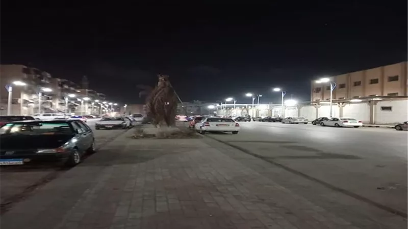 حملات لنظافة الشوارع والميادين بحى الضواحي الشعبى بورسعيد