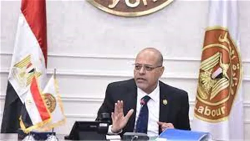 وزير العمل يوجه بعقد لقاءات دورية مع الجاليات المصرية لتوعيتهم بحقوقهم وواجباتهم