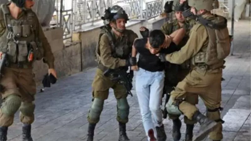 الاحتلال يعتقل 12 فلسطينيا على الأقل في الضفة الغربية