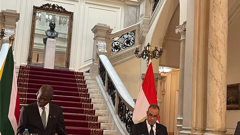 وزير خارجية جنوب أفريقيا يثمن جهود مصر لوقف إطلاق النار فى غزة