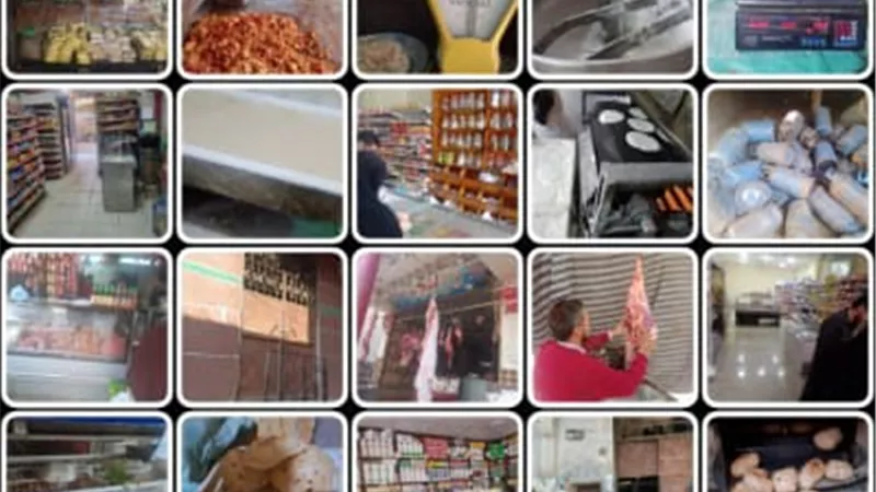 تحرير257 مخالفة تموينية خلال حملات تفتيشية على الأسواق بالقليوبية