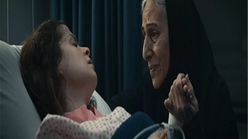 الشاهدة