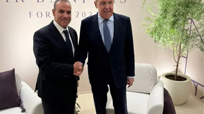 وزيرا خارجية مصر وروسيا يؤكدان ضرورة التوصل لوقف إطلاق نار فوري في غزة ولبنان