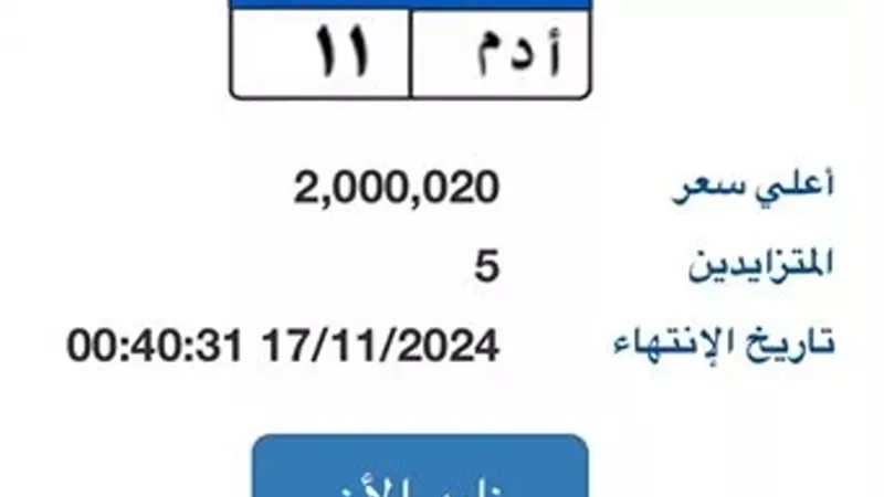 لوحة مميزة للسيارات وصل سعرها لـ 2 مليون جنيه