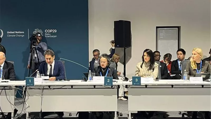المشاط: دول الجنوب العالمي لا تحصل على التمويل المطلوب