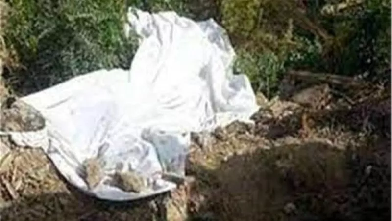 العثور علي شخص مقتول طعنا بسكين داخل مزرعة بالدقهلية