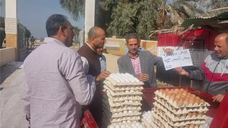 منافذ لبيع بيض المائدة ببنى سويف بـ