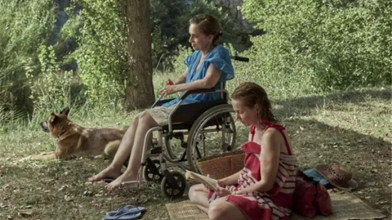 إقبال كبير من رواد المهرجان على 3 أفلام