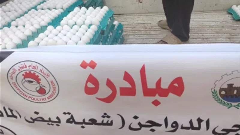 محافظ القليوبية يطلق مبادرة لتخفيض اسعار بيض المائدة