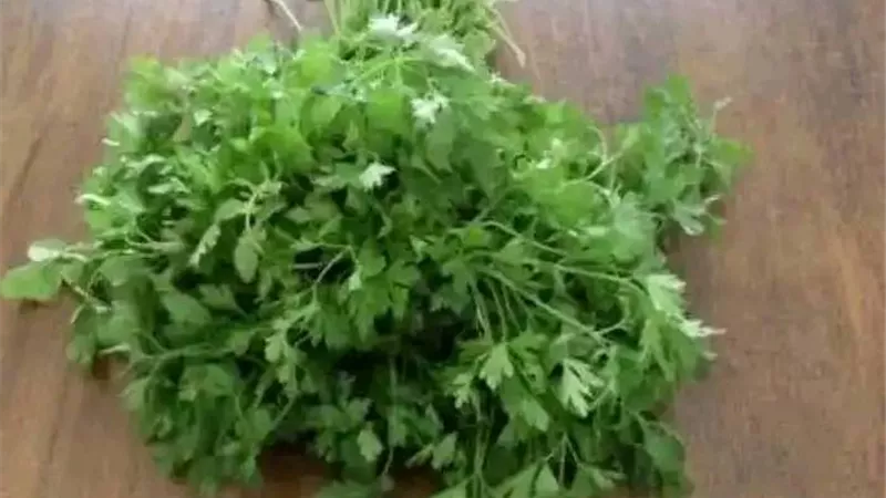 ماذا يحدث لجسمك عند تناول كوب من البقدونس على الريق؟