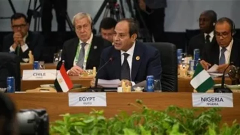 مصر تجدد الدعوة لتدشين مركز عالمي لتخزين وتوزيع الحبوب على أرضها