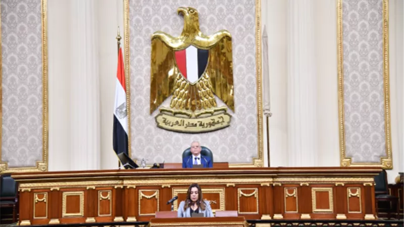 التنمية المحلية: طرح 43 مجزر حكومي على القطاع الخاص لإدارتها وتشغيلها