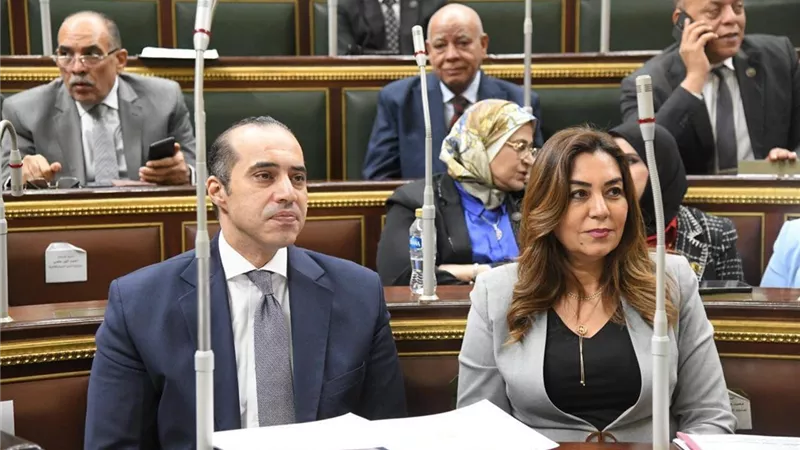 التنمية المحلية :تعزيز الشراكة مع القطاع الخاص لتحقيق التنمية المستدامة