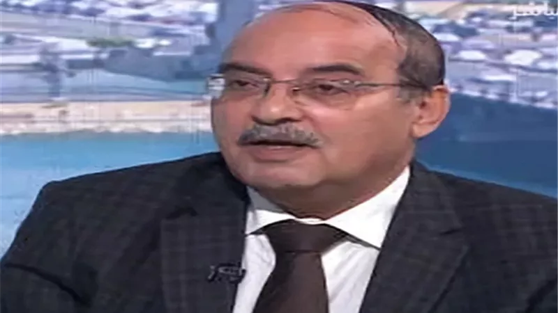 د.مجدي علام في ندوة آثار الحرب الإسرائيلية علي البيئة: