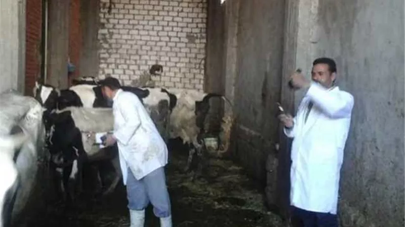 الحملة القومية الثالثة ببيطرى الاسكندرية