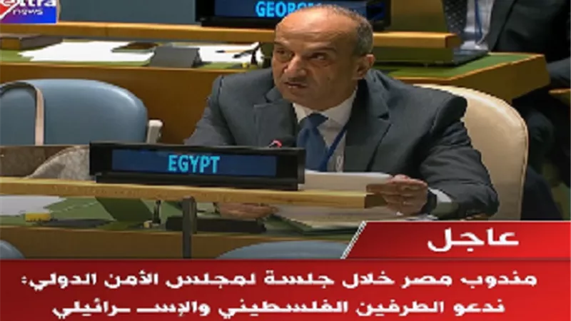 فى جلسة مجلس الأمن.. مصر تدعو الطرفين الفلسطيني والإسرائيلي للعودة إلى طاولة المفاوضات