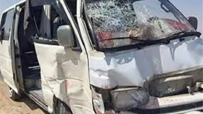 مصرع واصابة 12 مواطنا في اصطدام ميكروباص بشجرة في الدقهلية