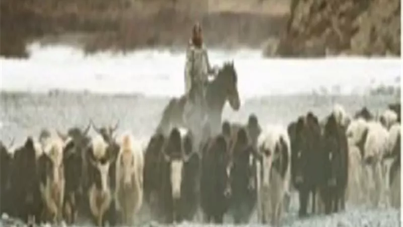 اليوم.. سجادة حمراء لصناع فيلم 