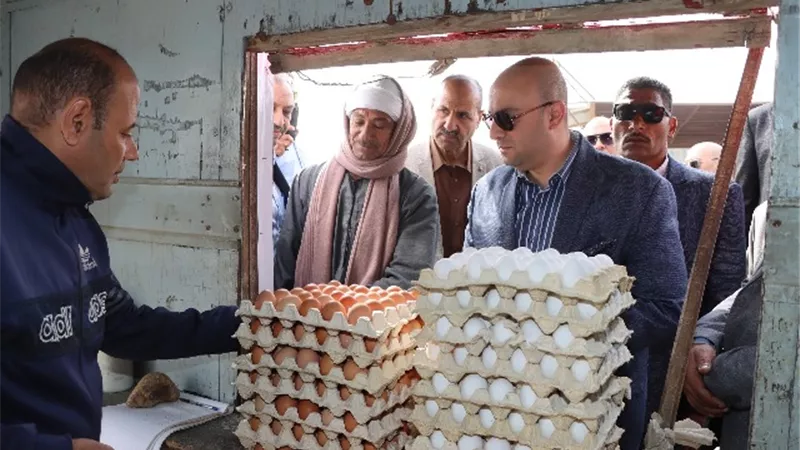 محافظ بني سويف يبحث زيادة الإنتاجية بمشروعات الدواجن