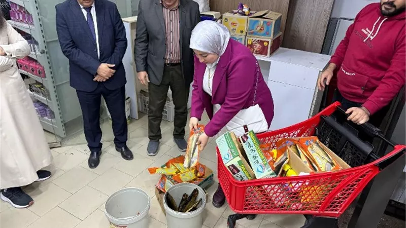 ضبط 500 كيلو لحوم وأغذية متنوعة وتحرير 317 محضر بالدقهلية