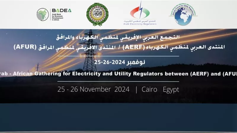 الاثنين..انطلاق فعاليات مؤتمر منظمي الطاقة 2024 بالجامعة العربية