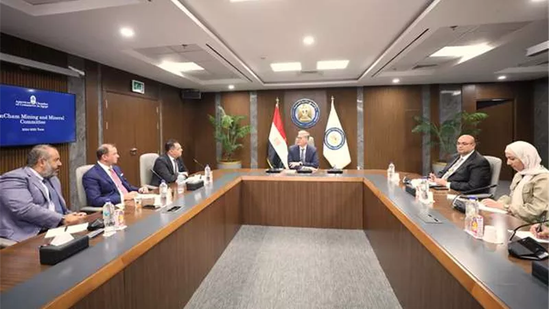 وزير البترول: توفير مناخ جاذب لدخول القطاع الخاص فى مشروعات التعدين