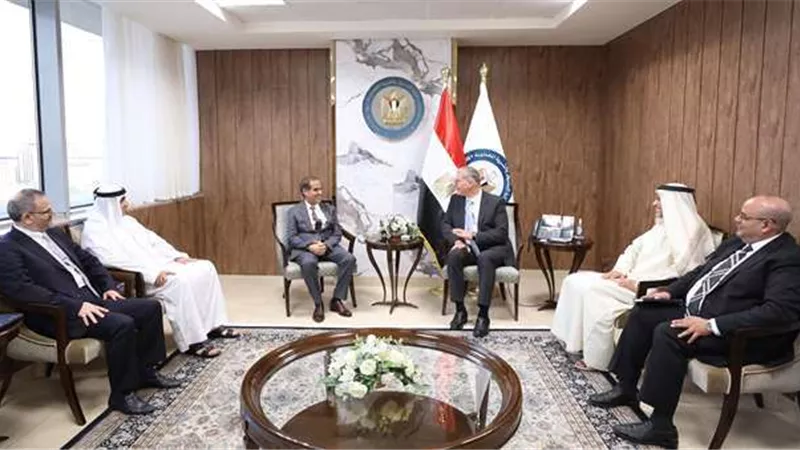 وزير البترول يبحث مع وفد الإمارات تعزيز التعاون في السوق المصري