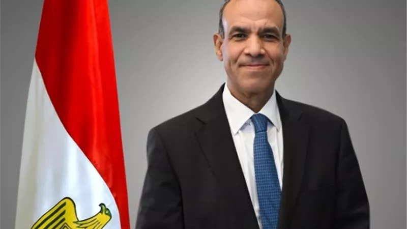 وزير الخارجية ينقل رسالة من الرئيس السيسي لنظيره الكونغولي