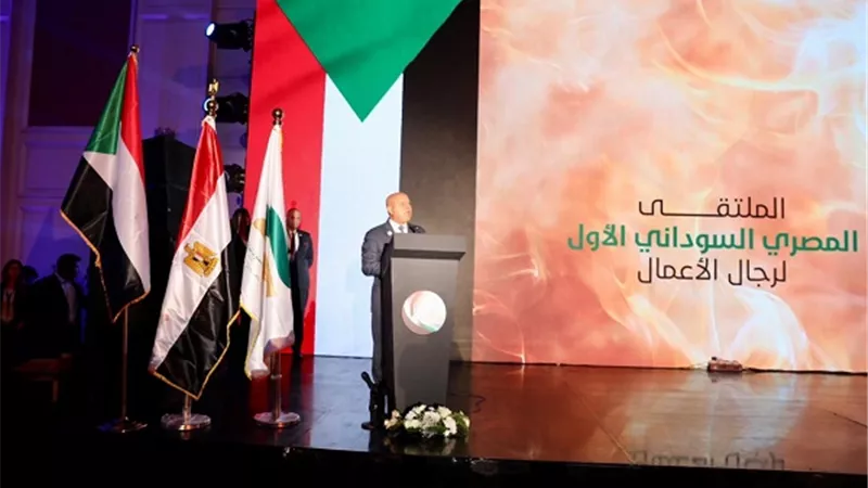 كامل الوزير يؤكد أهمية تعميق الاستثمار الصناعي بين مصر والسودان