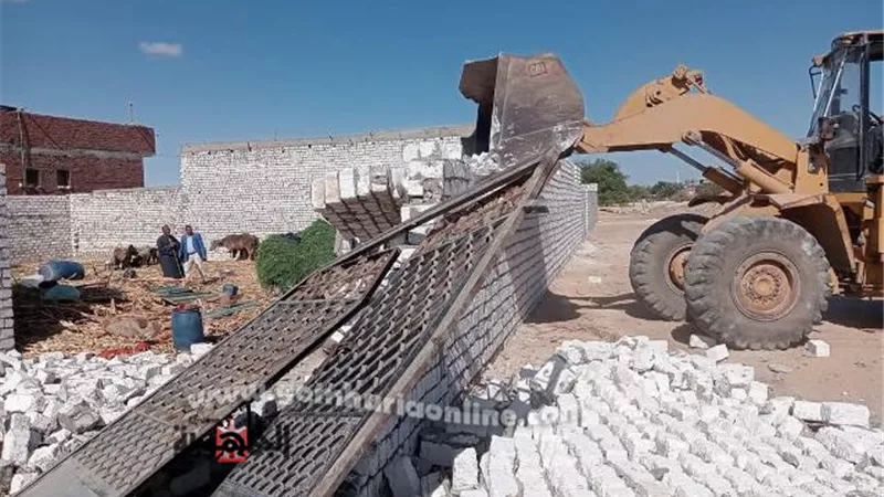 إزالة 444 حالة تعدٍ على الأراضي الزراعية وأملاك الدولة بالمنيا