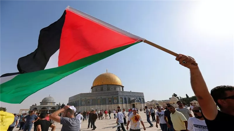وزير الخارجية يؤكد رفض القاهرة لأي مساع لتصفية القضية الفلسطينية