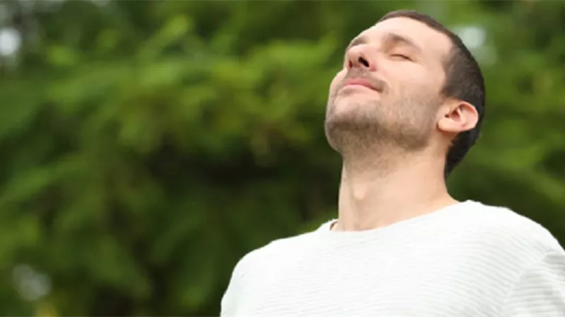 ما هي العناصر الغذائية الهوائية ؟ دراسة تكشف