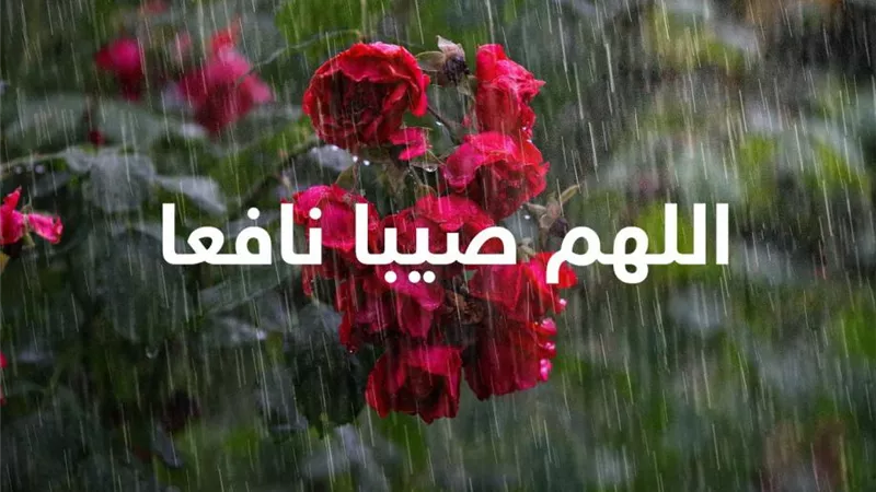 الدعاء المستحب عند نزول المطر