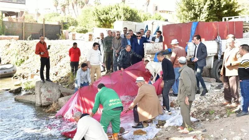محافظ الدقهلية يشهد إلقاء مليون وحدة زريعة سمكية بالمنصورة