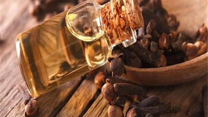أبرز فوائد زيت القرنفل .. علاج حب الشباب