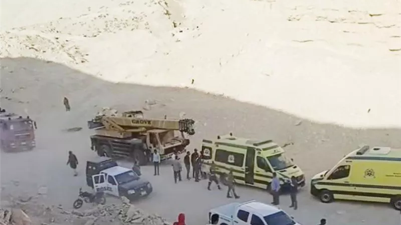 محافظ الوادي الجديد يكشف تفاصيل واقعة 