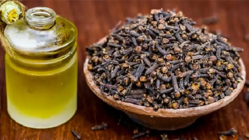 فوائد زيت القرنفل