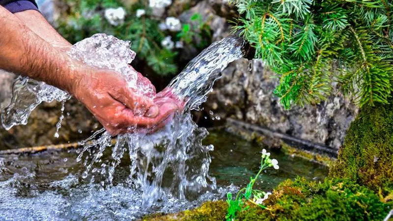 مدى وجوب الزكاة فى المنتجات المزروعة في الماء