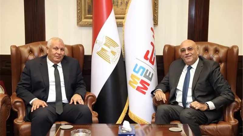 تعاون مشترك بين تنمية المشروعات والوادي الجدي لتوطين صناعة الحرير