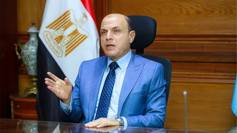 محافظ كفرالشيخ: ضبط ٢٥٤ عبوة مواد غذائية منتهية الصلاحية