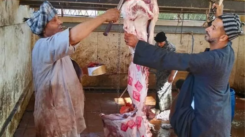 أسيوط: رئيس مركز صدفا يفتتح منفذا لبيع اللحوم البلدية بـ290 جنيه