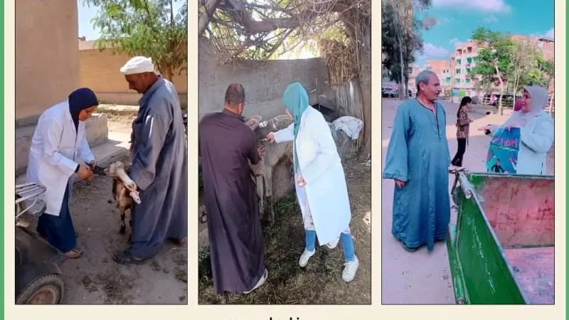 بيطري الشرقية يُحصن ١٨٣ ألفاو٥٣٣ رأس ماشية ضد الحمى