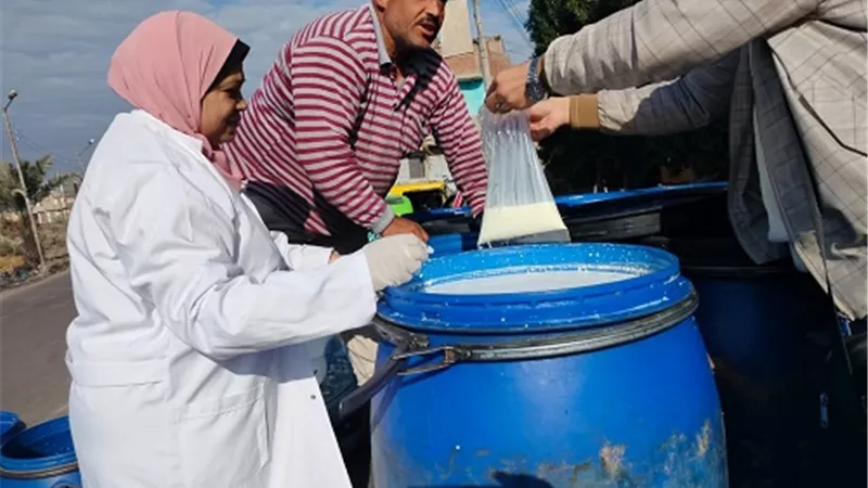 ضبط ٤٢٠ لتر وإعدام ٩٠ لتر ألبان و 500 كيلو جبن غير صالحة